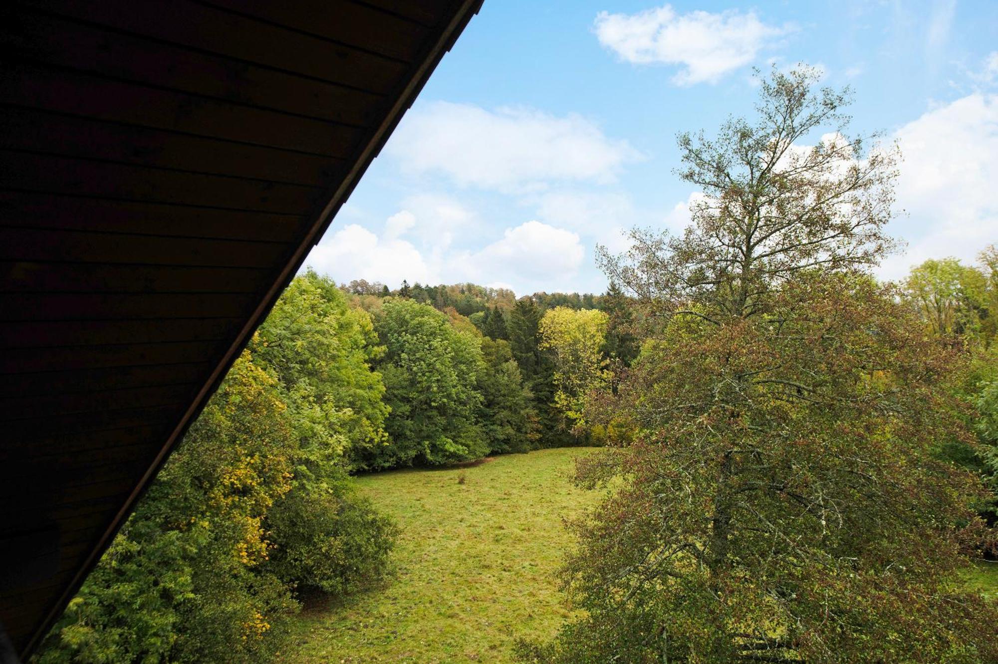 Landhaus Am Schmiedebach Wittenschwand المظهر الخارجي الصورة