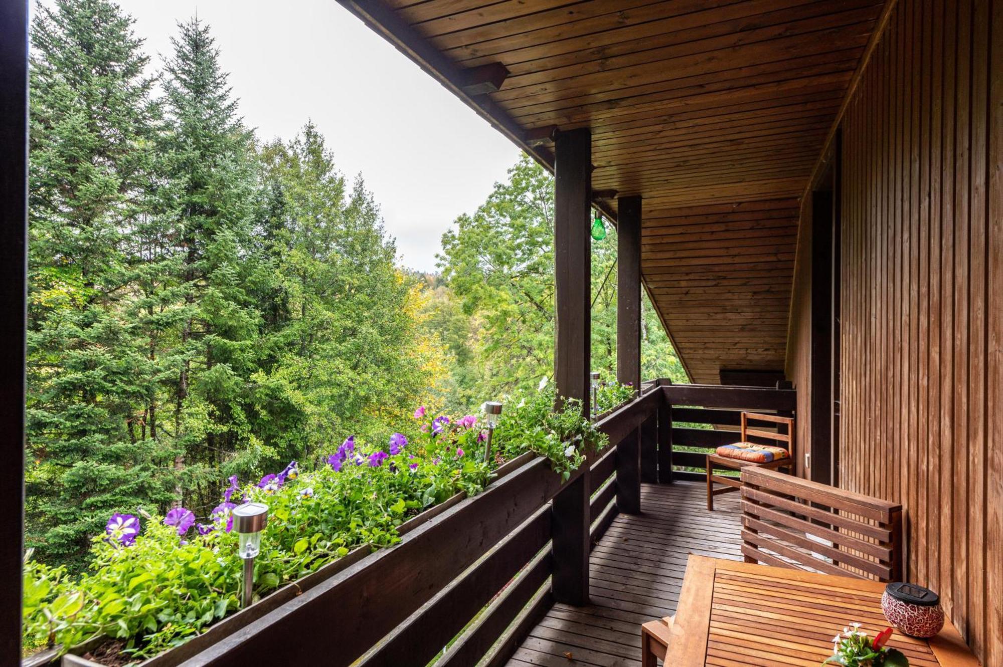 Landhaus Am Schmiedebach Wittenschwand المظهر الخارجي الصورة