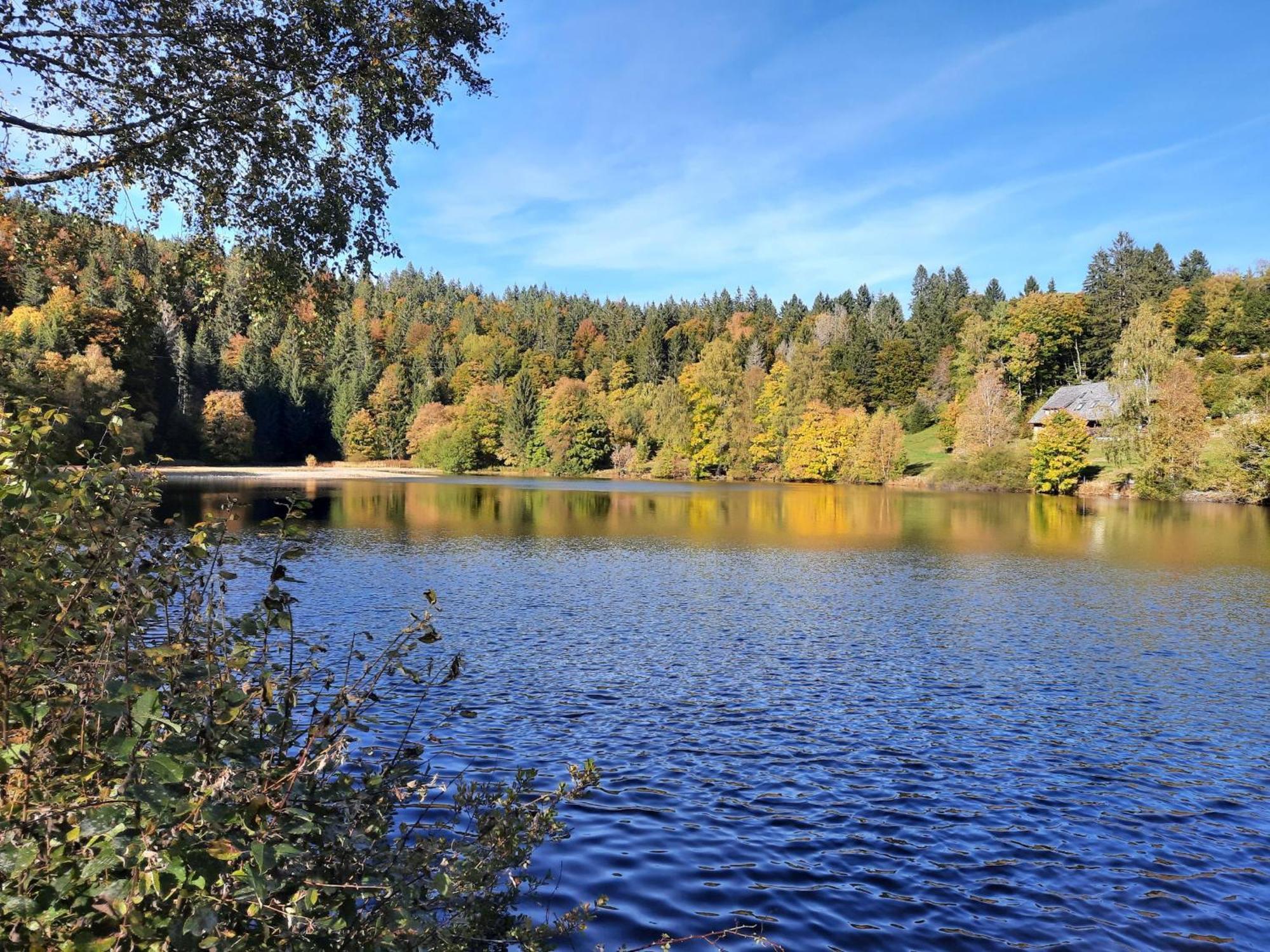 Landhaus Am Schmiedebach Wittenschwand المظهر الخارجي الصورة